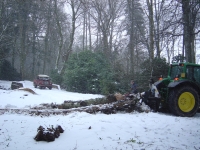 winching out some felled trees